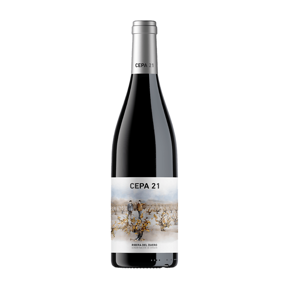 CEPA 21 RIBERA DEL DUERO
